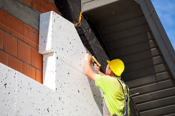 Best Attic Insulation Installation  in Spicer, MN